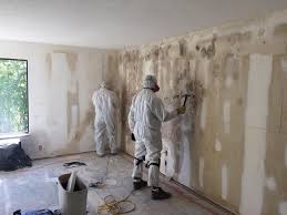 Best Mold Documentation for Insurance Claims in Earlington, KY